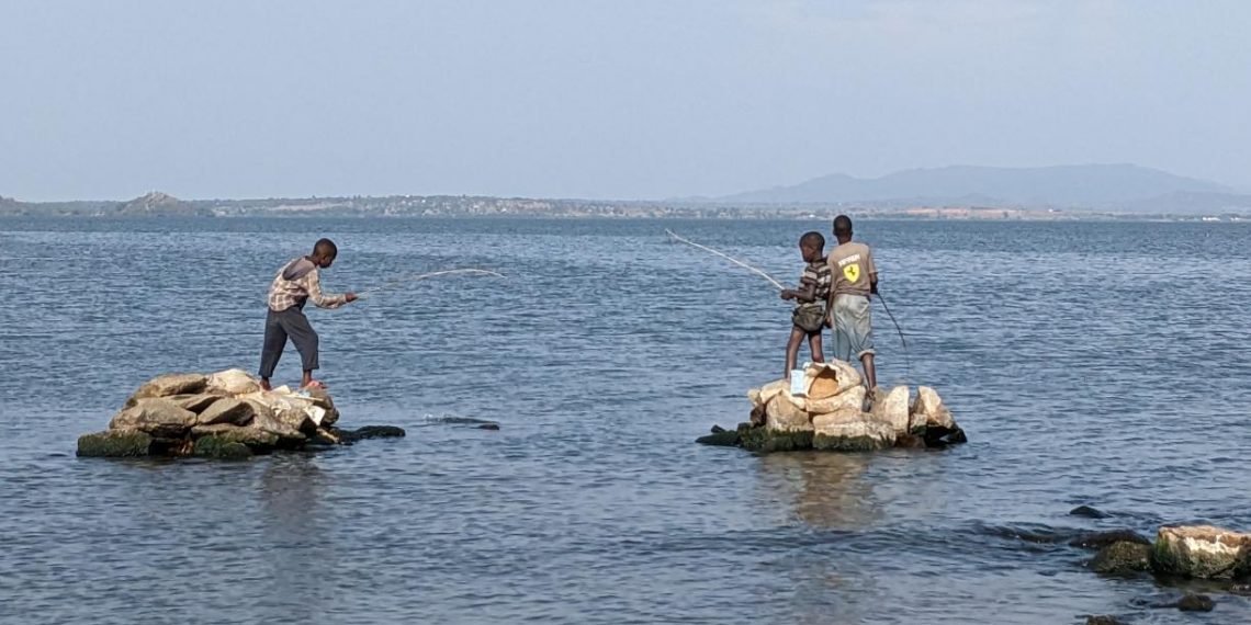 Knowledge Sharing Between Ethiopia and Tanzania