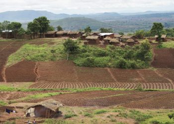 Restoration Improves Food Security in Malawi