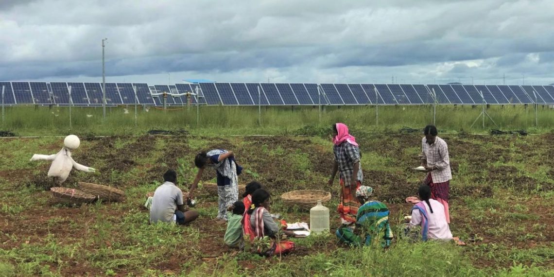 India’s Solar Transition Can Uproot or Uplift Landless Workers