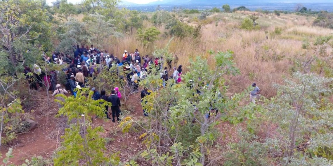 Multi-stakeholder Platforms Can Help Landscape Restoration Initiatives