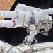 Oversight’s key to ensure sustainability in outer space: Guterres