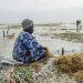 Loss and Damage Fund Created to Address Most Devastating Impacts of Climate Change