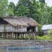 Indonesia’s Indigenous People Secure Forest and Land Rights