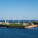 5 Countries Taking Action to Reach Net-Zero Targets