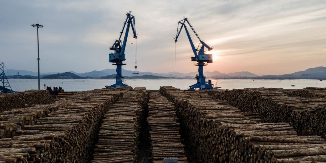 Harvesting Wood Has Overlooked Carbon Costs