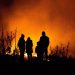 Northern hemisphere summer marked by heatwaves and wildfires: WMO