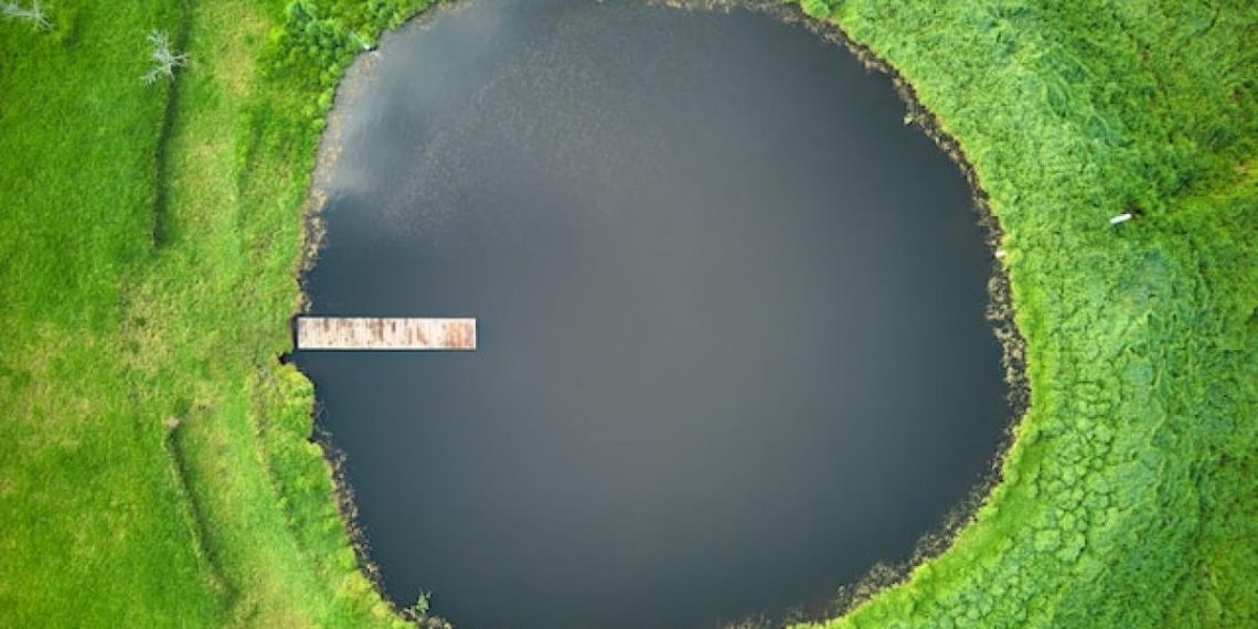 Democratizing Data for Transboundary Cooperation