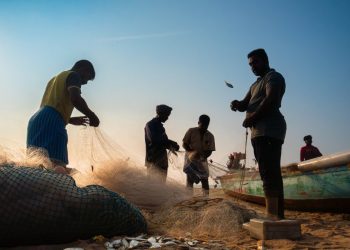 Flood-Prone Tamil Nadu, India Builds Climate-Resilient Villages