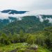 Indonesian Communities Protect Millions of Hectares of Rainforest