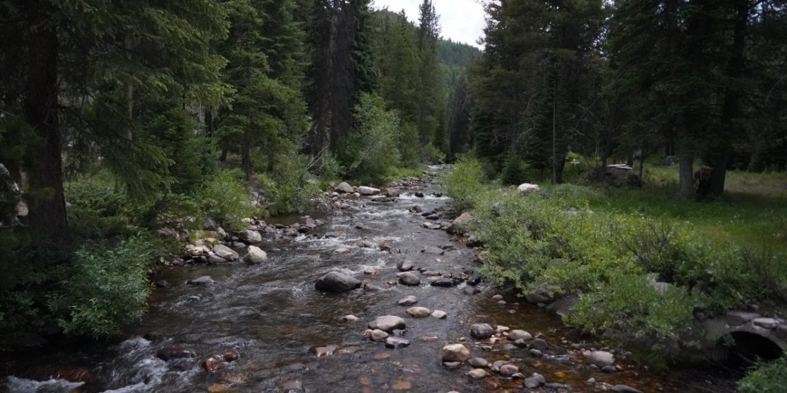 US Communities Reduce Risks of Wildfires by Improving Forest Health