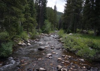 US Communities Reduce Risks of Wildfires by Improving Forest Health